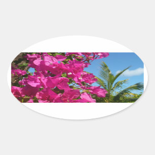 Bougainvillea and Palm Tree Tropical Nature Scene Oval Sticker