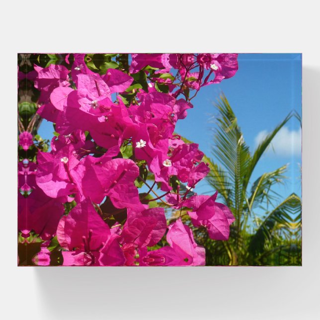 Bougainvillea and Palm Tree Tropical Nature Scene Paperweight (Front)
