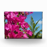 Bougainvillea and Palm Tree Tropical Nature Scene Photo Block