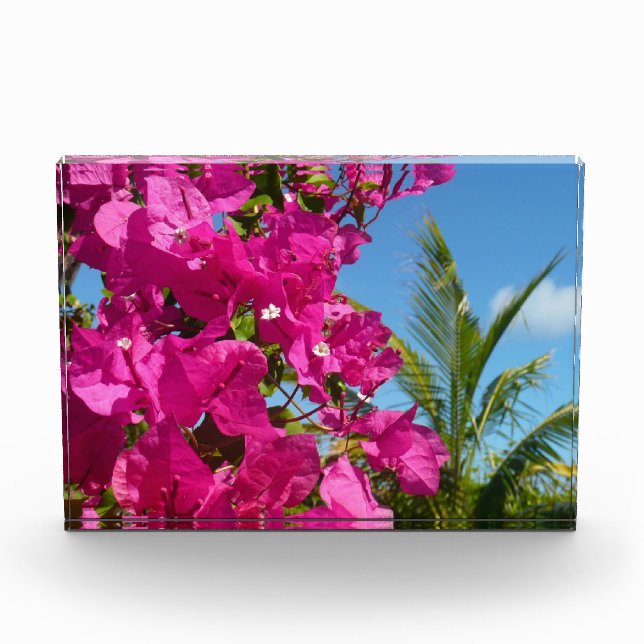Bougainvillea and Palm Tree Tropical Nature Scene Photo Block (Front)