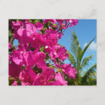 Bougainvillea and Palm Tree Tropical Nature Scene Postcard