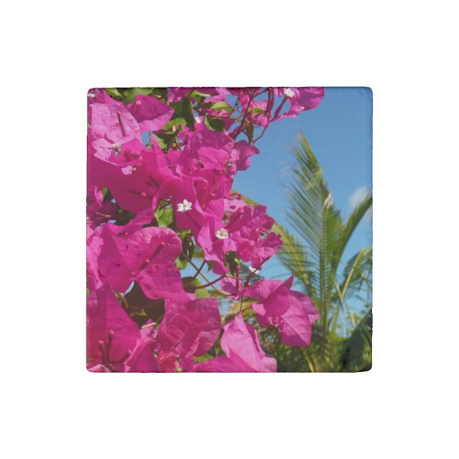 Bougainvillea and Palm Tree Tropical Nature Scene Stone Magnet (Front)