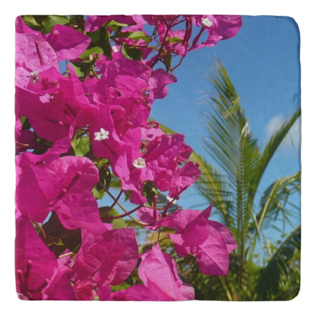 Bougainvillea and Palm Tree Tropical Nature Scene Trivet (Front)