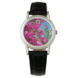 Bougainvillea and Palm Tree Tropical Nature Scene Watch