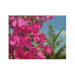 Bougainvillea and Palm Tree Tropical Nature Scene Wood Poster