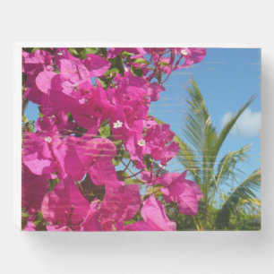 Bougainvillea and Palm Tree Tropical Nature Scene Wooden Box Sign