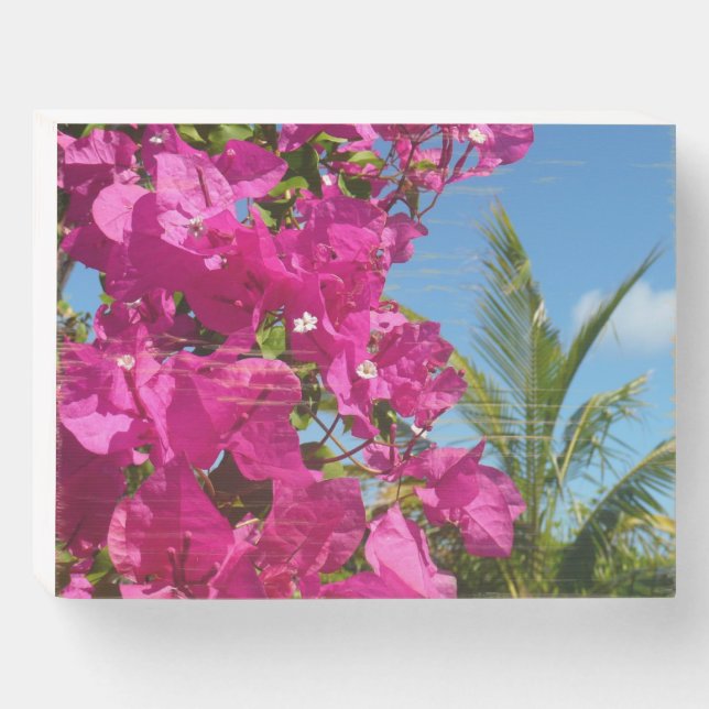 Bougainvillea and Palm Tree Tropical Nature Scene Wooden Box Sign (Front Horizontal)