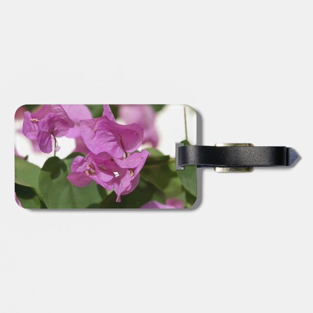 Bougainvillea  Bag Tag (Back Horizontal)