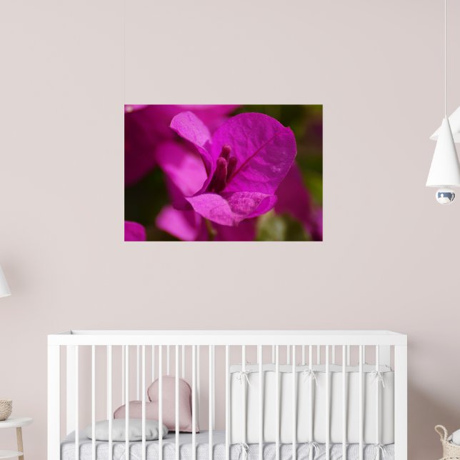 Bougainvillea Beauty Poster (Nursery 2)