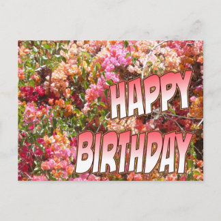Bougainvillea Birthday Postcard Pink