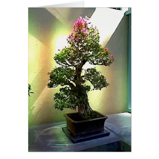Bougainvillea Bonsai Tree Cards (Front)
