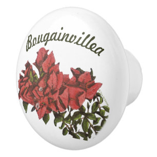 Bougainvillea Ceramic Knob