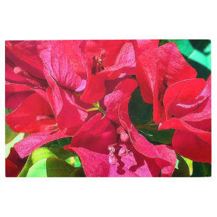 Bougainvillea Closeup Metal Wall Art