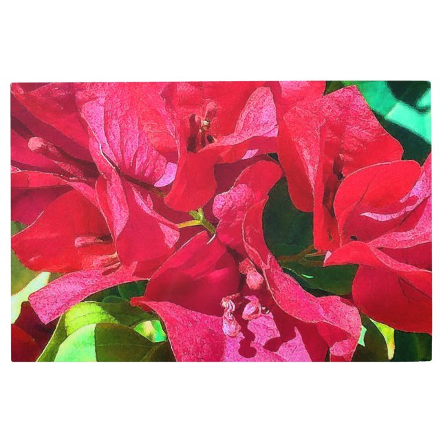 Bougainvillea Closeup Metal Wall Art (Front)