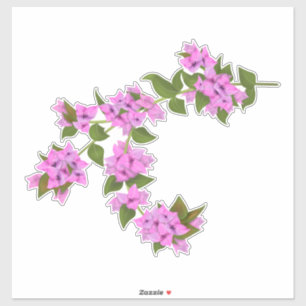 Bougainvillea decal