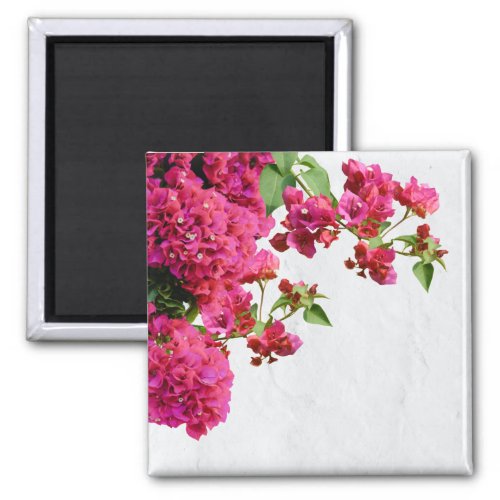 Bougainvillea Floral Mediterranean Greek Island Magnet