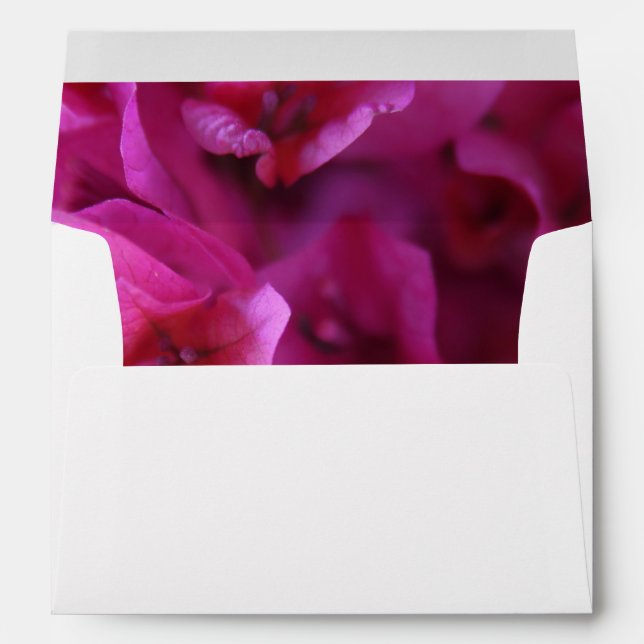 Bougainvillea full envelope (Back (Bottom))