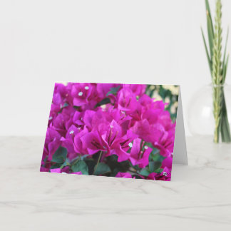 Bougainvillea - Greeting Card