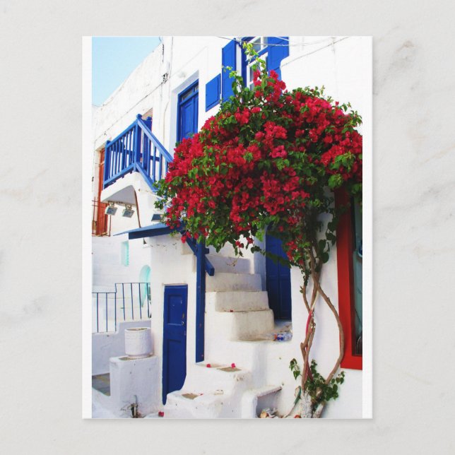 Bougainvillea growing outside a house, Mykonos Postcard (Front)
