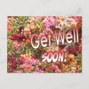 Bougainvillea Health Postcard