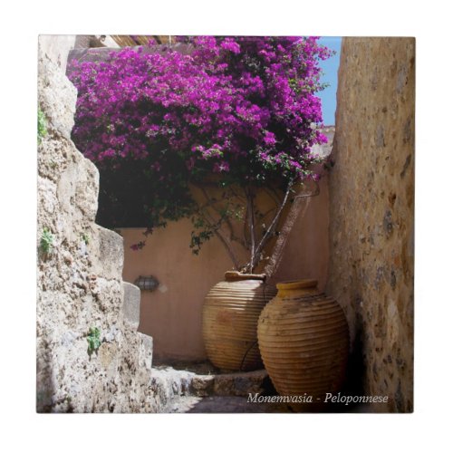 Bougainvillea in amphorah ceramic tile