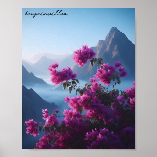 bougainvillea nature blue sky  poster