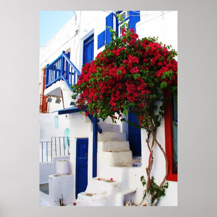 Bougainvillea outside a house, Greece POSTER | Zazzle