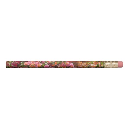 Bougainvillea Pencil (Front)