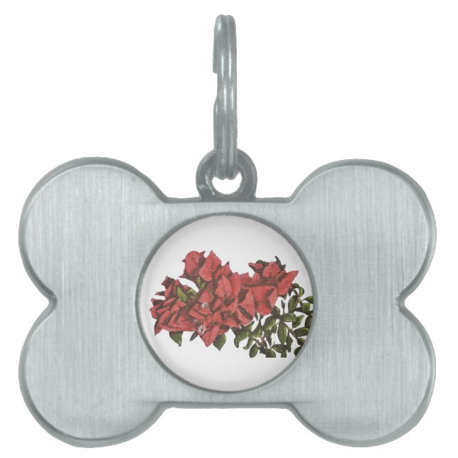 Bougainvillea Pet Tag (Front)