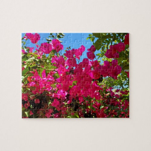 Bougainvillea Pink Flower with White Center Puzzle