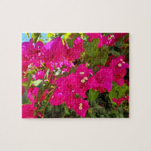 Bougainvillea Pink Flower with White Center Puzzle