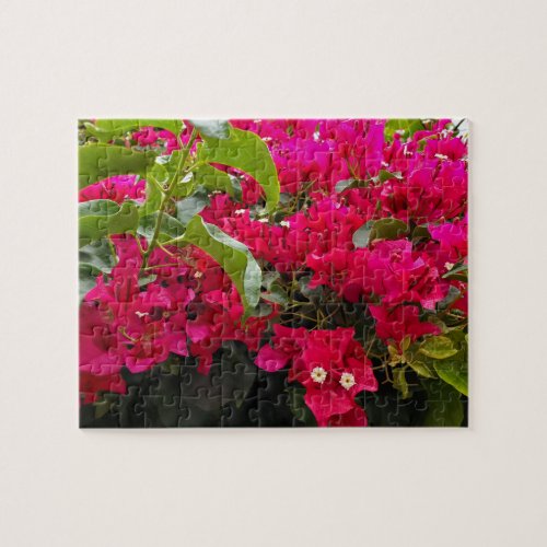 Bougainvillea Pink Flowers White Center Puzzle