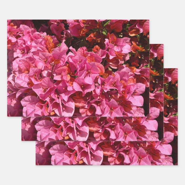 Bougainvillea Pink Tropical Vining Shrub Photo  Wrapping Paper Sheets (Set)