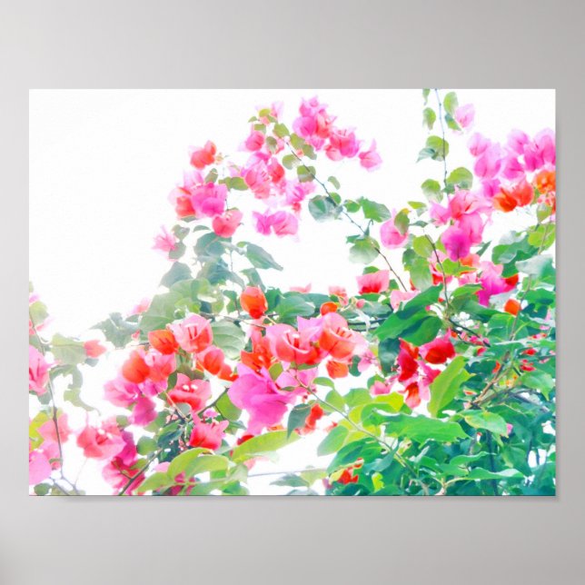 bougainvillea poster (Front)