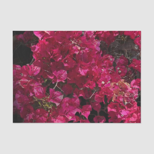 Bougainvillea Red Tropical Vining Shrub Photo Tissue Paper (Front)