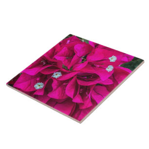 Bougainvillea Speaks for Itself Ceramic Tile
