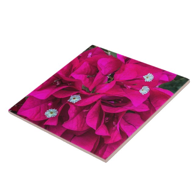 Bougainvillea Speaks for Itself Ceramic Tile (Side)