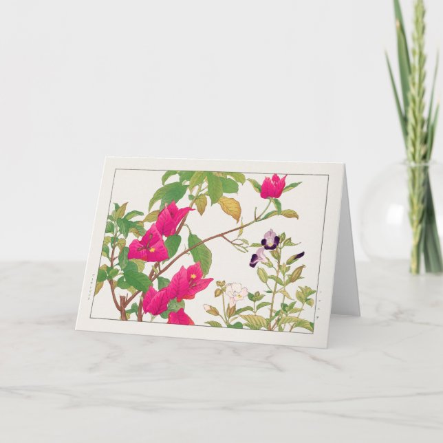 Bougainvillea, Wishbone flower by Tanigami Konan Card (Front)