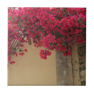 Bougainvilleas on a Rustic Building in Greece Ceramic Tile