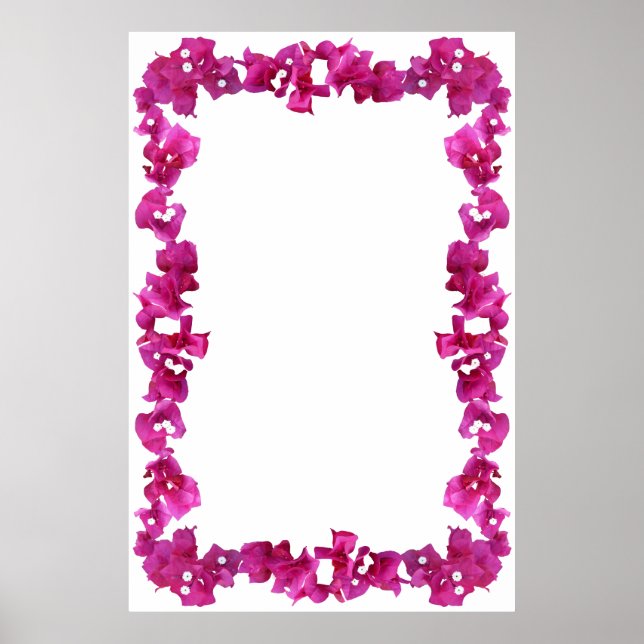 Bouganvilla Border on Blank Background Poster (Front)