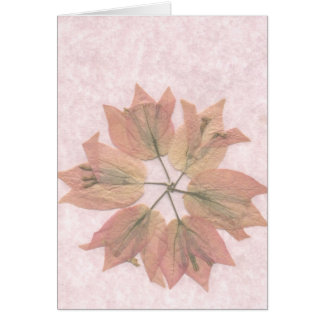 Bouganvilla Cards