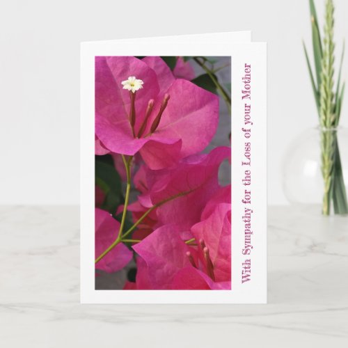 Bouganvilla Flowers  Magenta  Sympathy Card