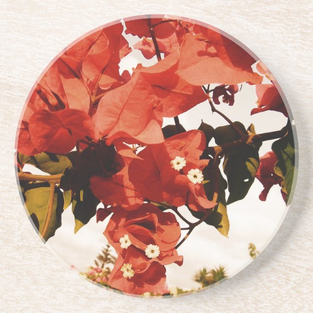 Bouganvillia Drink Coaster (Front)