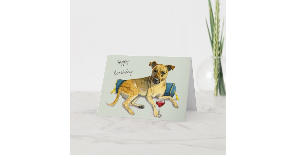 Luxurious Gifts for the Bougie Pet Parent