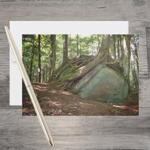 Boulder and Roots – Nature’s Resilience Photo Note Card