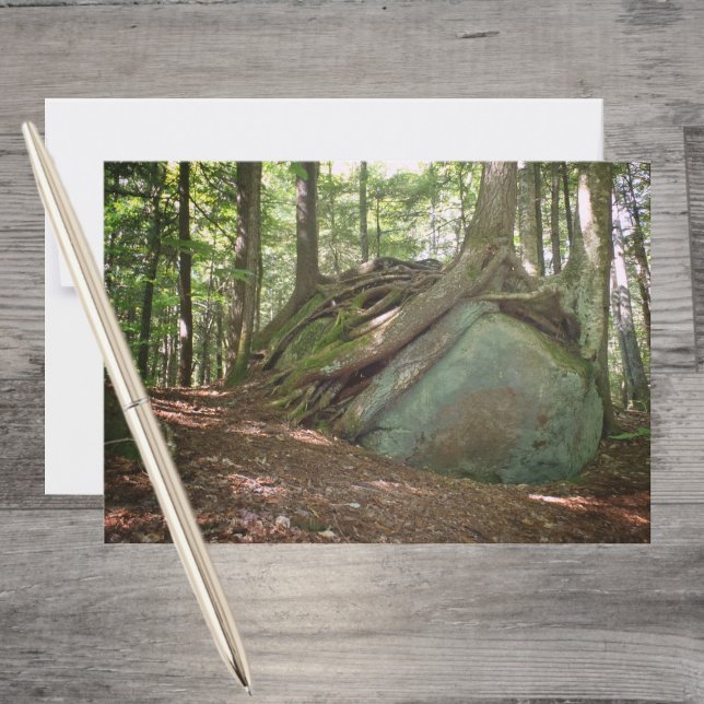 Boulder and Roots – Nature’s Resilience Photo Note Card (Creator Uploaded)