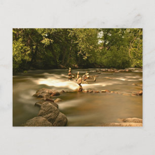 Boulder Creek - Balanced Rocks Postcard