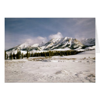 Boulder Mountain View Cards