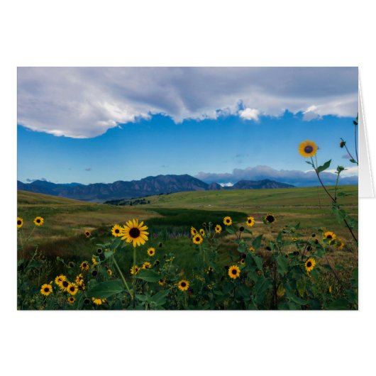 Boulder Summer Cards (Front Horizontal)