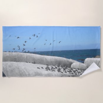 Boulders Beach Penguins & Birds Beach Towel by Edelhertdesigntravel at Zazzle